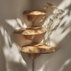 Farmhouse Solid Wood Mushroom Shelf For Bedroom Decor And Furniture Design SILDTTNCMS002